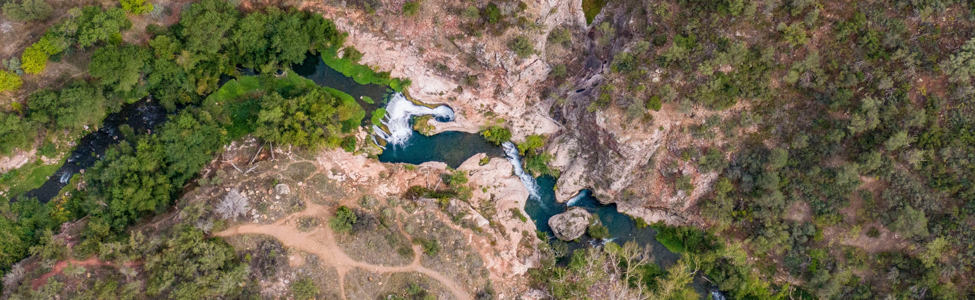 Aerial view of a creek in a forest